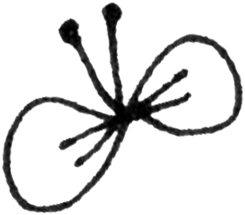 かざり